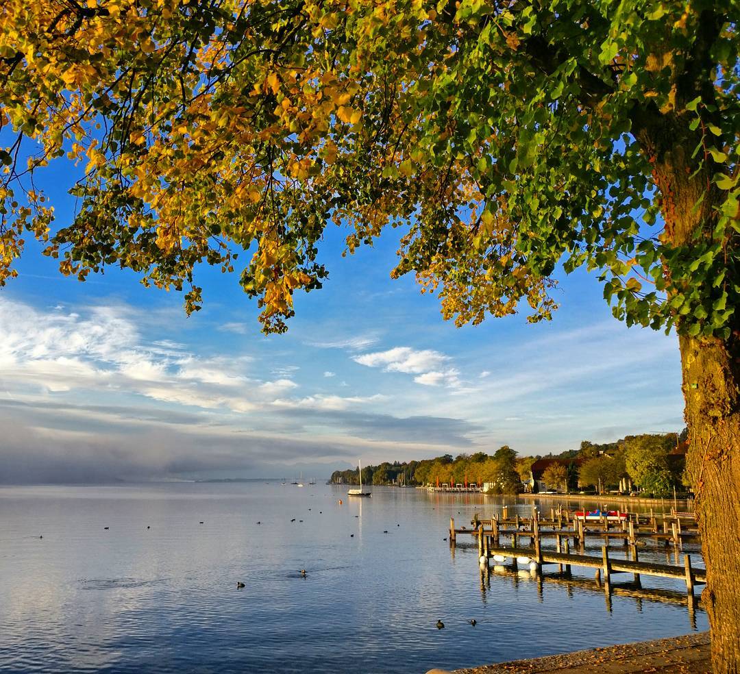 Good morning #starnberg. A beautiful sight you are...
